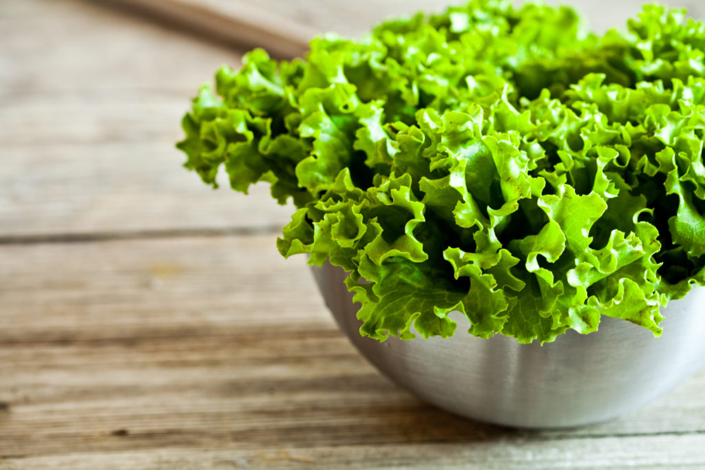 листовой зеленый салат