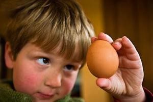 аллергия на яйца