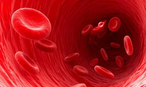 Биохимия крови