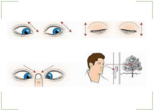Гимнастика для глаз при близорукости