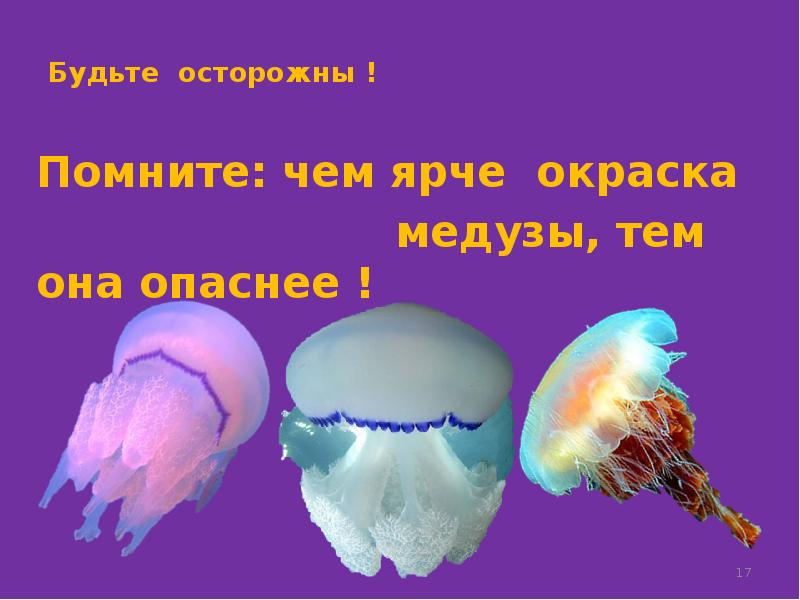Опасные медузы